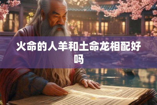 火命的人羊和土命龙相配好吗