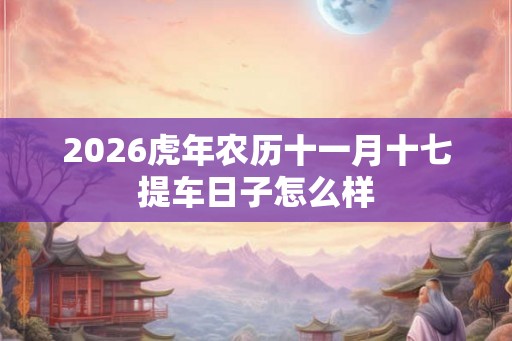 2026虎年农历十一月十七提车日子怎么样