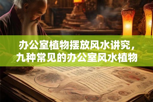 办公室植物摆放风水讲究，九种常见的办公室风水植物