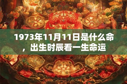 1973年11月11日是什么命,出生时辰看一生命运 1973年11月11日是什么命,出生时辰看一生命运