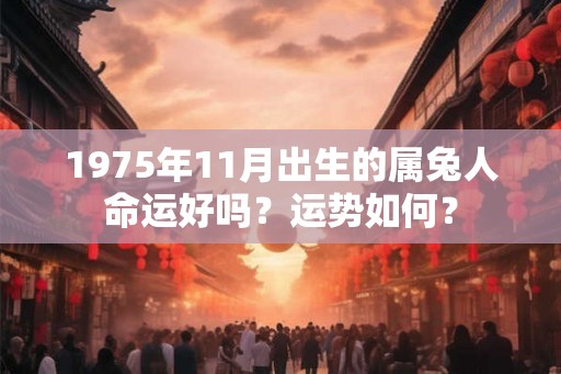 1975年11月出生的属兔人命运好吗？运势如何？