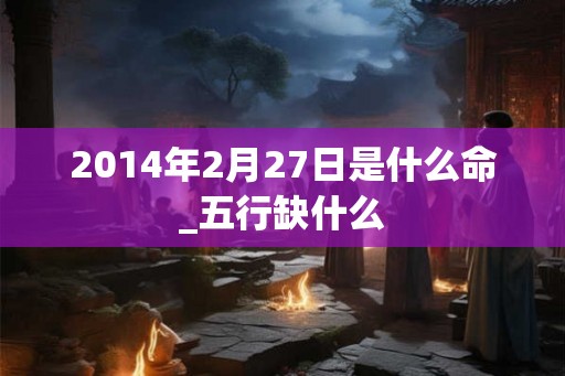 2014年2月27日是什么命_五行缺什么