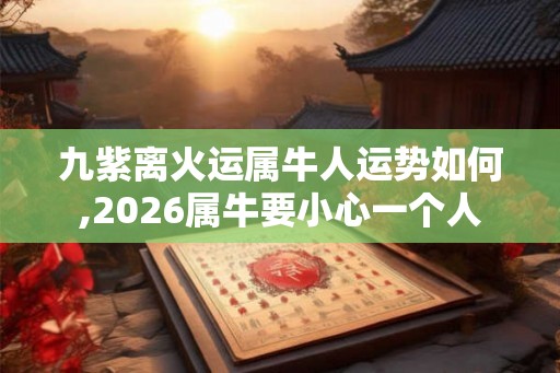 九紫离火运属牛人运势如何,2026属牛要小心一个人