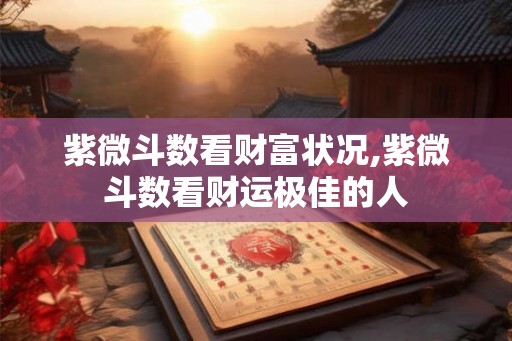 紫微斗数看财富状况,紫微斗数看财运极佳的人