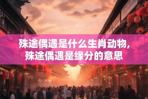 殊途偶遇是什么生肖动物,殊途偶遇是缘分的意思