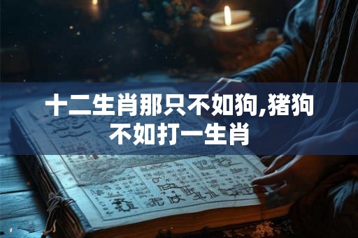 十二生肖那只不如狗,猪狗不如打一生肖