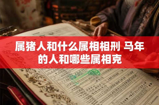 属猪人和什么属相相刑 马年的人和哪些属相克