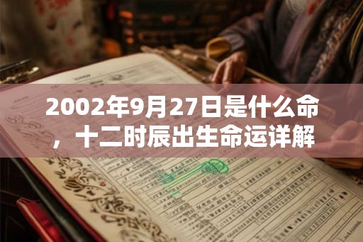 2002年9月27日是什么命，十二时辰出生命运详解