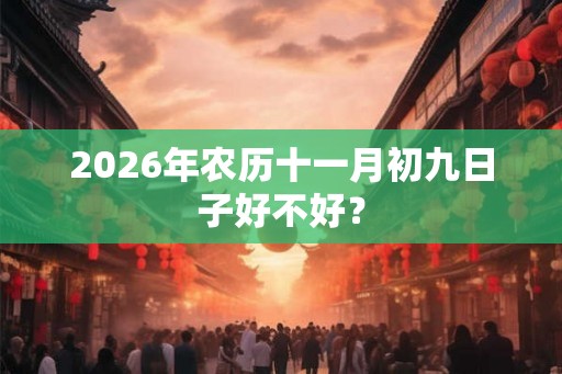 2026年农历十一月初九日子好不好？