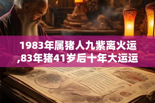 1983年属猪人九紫离火运,83年猪41岁后十年大运运程