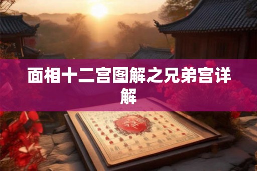 面相十二宫图解之兄弟宫详解