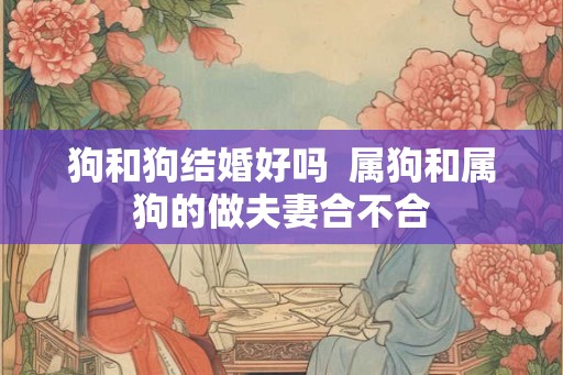 狗和狗结婚好吗  属狗和属狗的做夫妻合不合