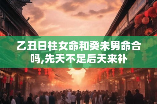 乙丑日柱女命和癸未男命合吗,先天不足后天来补