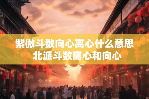 紫微斗数向心离心什么意思  北派斗数离心和向心