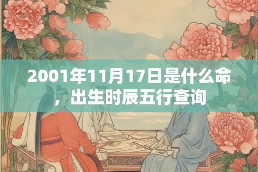2001年11月17日是什么命，出生时辰五行查询