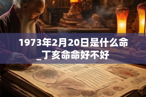 1973年2月20日是什么命_丁亥命命好不好 1973年2月20日是什么命_丁亥命命好不好