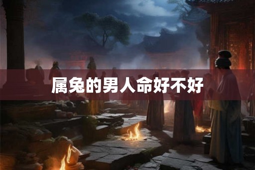 属兔的男人命好不好 属兔的男人命好不好