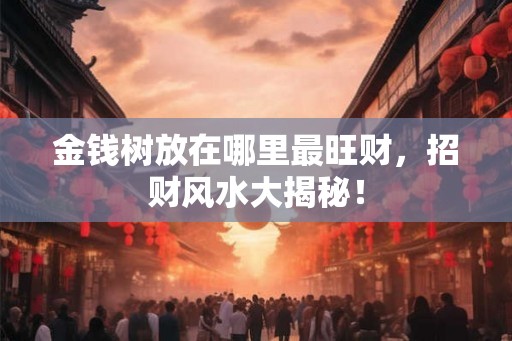 金钱树放在哪里最旺财，招财风水大揭秘！