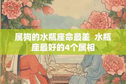 属狗的水瓶座命最差  水瓶座最好的4个属相