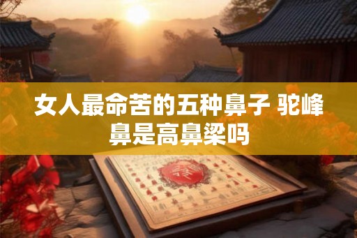 女人最命苦的五种鼻子 驼峰鼻是高鼻梁吗