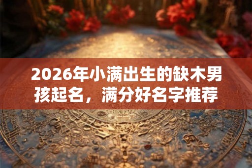 2026年小满出生的缺木男孩起名，满分好名字推荐