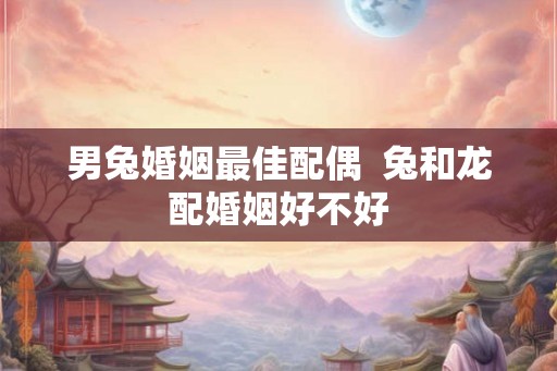 男兔婚姻最佳配偶  兔和龙配婚姻好不好