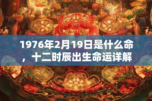 1976年2月19日是什么命，十二时辰出生命运详解