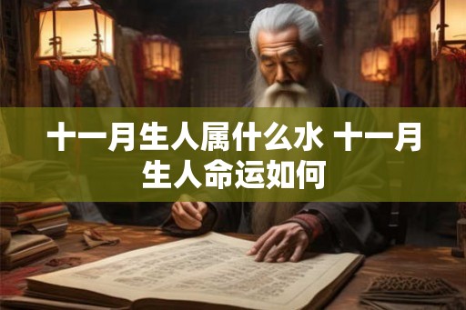十一月生人属什么水 十一月生人命运如何 十一月生人属什么水 十一月生人命运如何