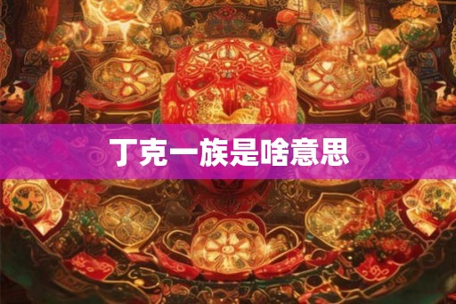 丁克一族是啥意思