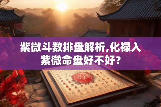 紫微斗数排盘解析,化禄入紫微命盘好不好？