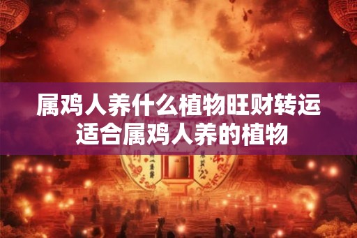 属鸡人养什么植物旺财转运 适合属鸡人养的植物