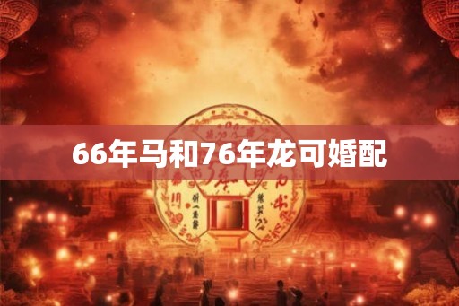 66年马和76年龙可婚配