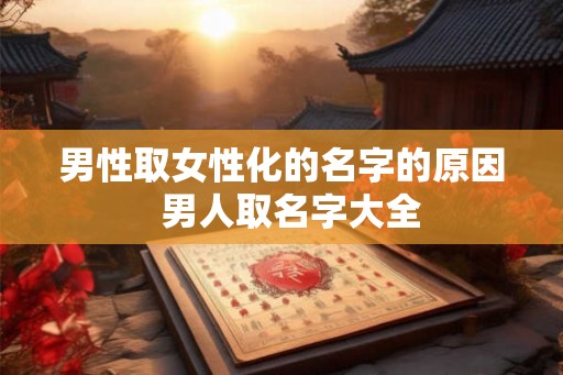 男性取女性化的名字的原因  男人取名字大全