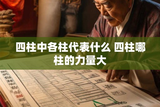 四柱中各柱代表什么 四柱哪柱的力量大