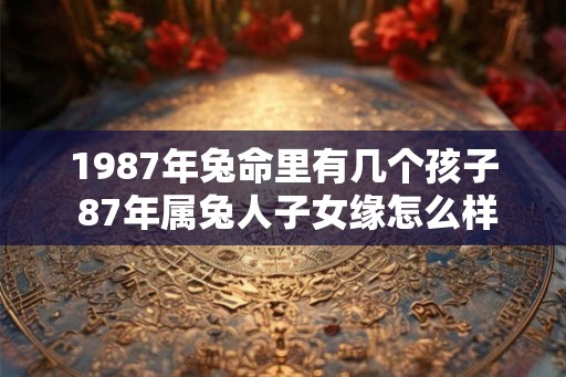 1987年兔命里有几个孩子 87年属兔人子女缘怎么样
