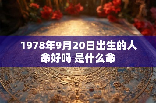 1978年9月20日出生的人命好吗 是什么命