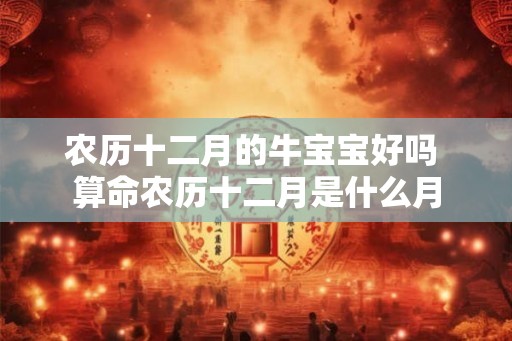 农历十二月的牛宝宝好吗 算命农历十二月是什么月 农历十二月的牛宝宝好吗 算命农历十二月是什么月