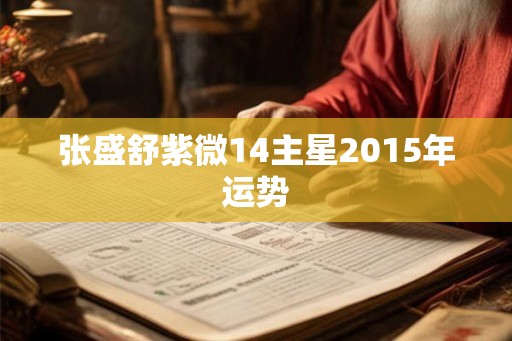 张盛舒紫微14主星2015年运势