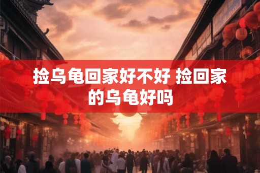 捡乌龟回家好不好 捡回家的乌龟好吗