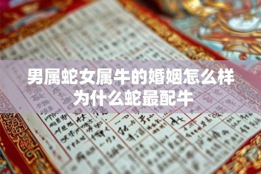 男属蛇女属牛的婚姻怎么样 为什么蛇最配牛