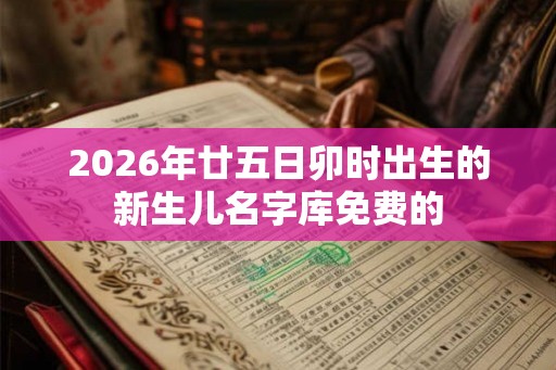 2026年廿五日卯时出生的新生儿名字库免费的