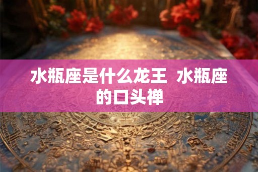 水瓶座是什么龙王  水瓶座的口头禅