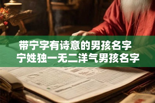 带宁字有诗意的男孩名字  宁姓独一无二洋气男孩名字