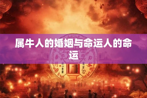 属牛人的婚姻与命运人的命运 属牛人的婚姻与命运人的命运