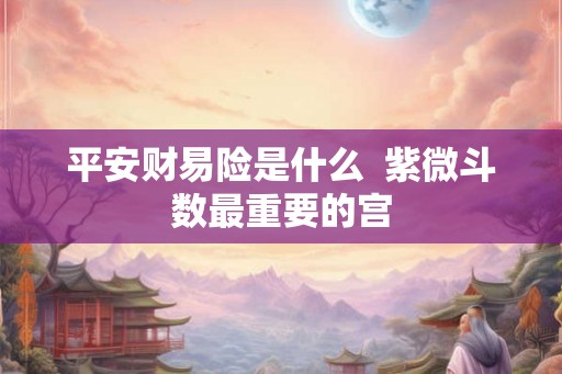 平安财易险是什么  紫微斗数最重要的宫