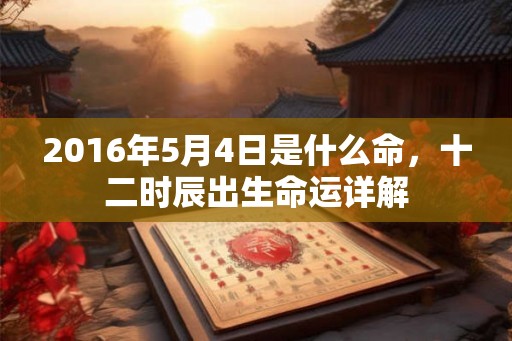 2016年5月4日是什么命，十二时辰出生命运详解