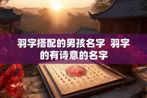 羽字搭配的男孩名字  羽字的有诗意的名字