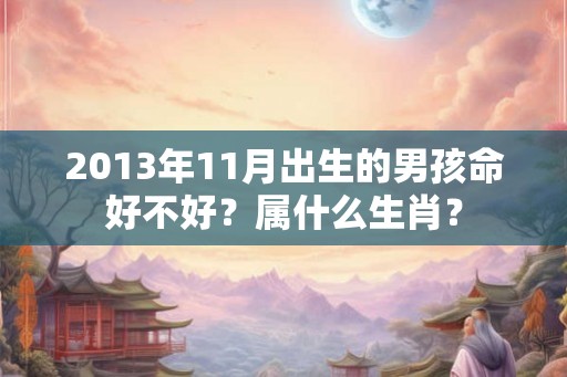 2013年11月出生的男孩命好不好？属什么生肖？