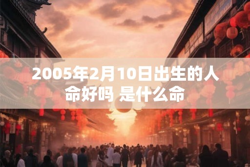 2005年2月10日出生的人命好吗 是什么命
