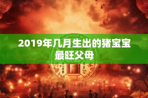 2019年几月生出的猪宝宝最旺父母